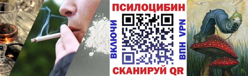 Псилоцибиновые грибы MAGIC MUSHROOMS  Гурьевск 
